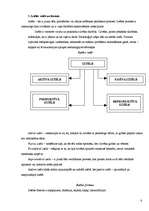 Konspekts 'Vispārīgā psiholoģija', 6.