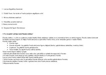 Eseja 'Finanšu un nodokļu tiesības', 2.