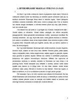 Referāts 'Antīko mākslas stilu elementu salikums interjerā', 4.