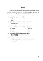 Referāts 'Antīko mākslas stilu elementu salikums interjerā', 30.