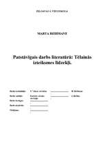 Referāts 'Tēlainās izteiksmes līdzekļi', 1.