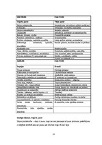 Biznesa plāns 'SIA "Pingvīns"', 14.