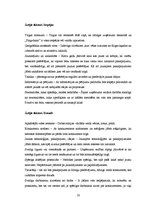 Biznesa plāns 'SIA "Pingvīns"', 16.