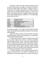 Biznesa plāns 'SIA "Pingvīns"', 18.