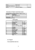 Biznesa plāns 'SIA "Pingvīns"', 20.