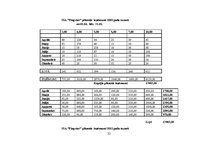 Biznesa plāns 'SIA "Pingvīns"', 22.