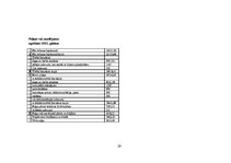 Biznesa plāns 'SIA "Pingvīns"', 29.