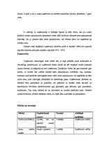 Biznesa plāns 'SIA "Pingvīns"', 32.