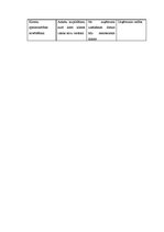 Biznesa plāns 'SIA "Pingvīns"', 33.