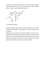 Konspekts 'Imitācija', 5.