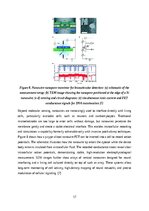 Referāts 'Nanowires', 17.