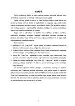 Referāts 'SIA "Puķu bode" tirgus un stratēģijas analīze', 3.