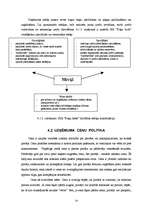 Referāts 'SIA "Puķu bode" tirgus un stratēģijas analīze', 14.