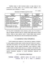 Referāts 'SIA "Puķu bode" tirgus un stratēģijas analīze', 17.