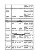 Referāts 'Darba vides risku novērtēšana uzņēmumā "BMS"', 5.