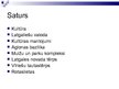 Prezentācija 'Latgales kultūra', 2.