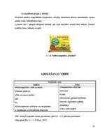 Referāts 'Majonēze', 8.