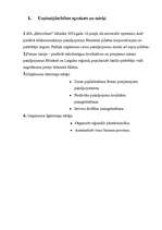 Referāts 'Mārketinga plāns SIA "Microlines"', 2.