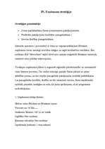 Referāts 'Mārketinga plāns SIA "Microlines"', 6.