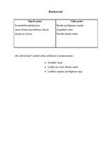 Referāts 'Mārketinga plāns SIA "Microlines"', 9.