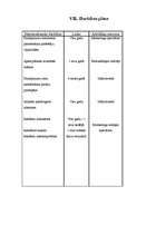 Referāts 'Mārketinga plāns SIA "Microlines"', 11.