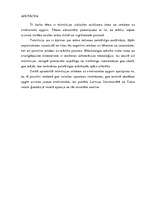 Diplomdarbs 'Die Auswirkungen der Fernsehunterhaltungssendungen auf den Fremdsprachenerwerb', 3.