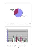 Diplomdarbs 'Die Auswirkungen der Fernsehunterhaltungssendungen auf den Fremdsprachenerwerb', 30.