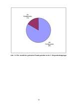 Diplomdarbs 'Die Auswirkungen der Fernsehunterhaltungssendungen auf den Fremdsprachenerwerb', 33.