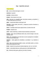 Referāts 'Jūgendstila Rīga', 1.