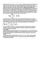 Referāts 'Datortīkli', 20.