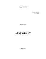 Biznesa plāns 'Biznesa plāns I/K "Puķuzirnis"', 1.