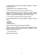 Biznesa plāns 'Biznesa plāns I/K "Puķuzirnis"', 11.