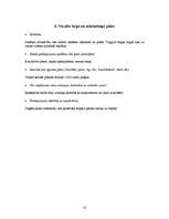 Biznesa plāns 'Biznesa plāns I/K "Puķuzirnis"', 13.