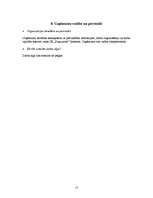 Biznesa plāns 'Biznesa plāns I/K "Puķuzirnis"', 15.