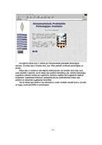 Konspekts 'Skolas internetā', 12.