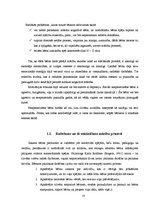 Diplomdarbs 'Radošo uzdevumu risinātprasmes attīstība matemātikas stundās 4.klasei', 8.