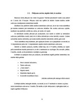 Diplomdarbs 'Radošo uzdevumu risinātprasmes attīstība matemātikas stundās 4.klasei', 48.