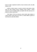 Diplomdarbs 'Radošo uzdevumu risinātprasmes attīstība matemātikas stundās 4.klasei', 58.