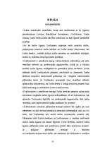 Referāts 'Uzņēmuma un darba līgumi', 10.