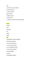 Konspekts 'Viduslaiki - "tumšs" laikmets Eiropas vēsturē?', 2.