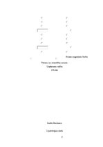 Referāts 'Sulu bāra tirgus izpēte', 2.