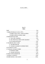 Referāts 'Sulu bāra tirgus izpēte', 3.