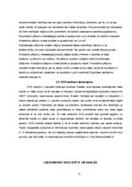 Referāts 'Sulu bāra tirgus izpēte', 11.