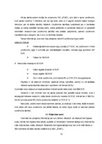 Referāts 'Sulu bāra tirgus izpēte', 12.