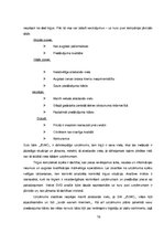 Referāts 'Sulu bāra tirgus izpēte', 16.