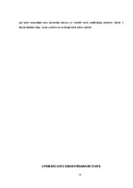 Referāts 'Sulu bāra tirgus izpēte', 17.