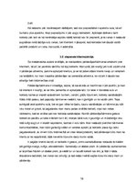 Referāts 'Sulu bāra tirgus izpēte', 19.