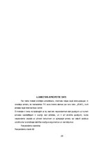Referāts 'Sulu bāra tirgus izpēte', 20.