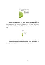 Referāts 'Sulu bāra tirgus izpēte', 24.