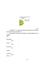 Referāts 'Sulu bāra tirgus izpēte', 25.